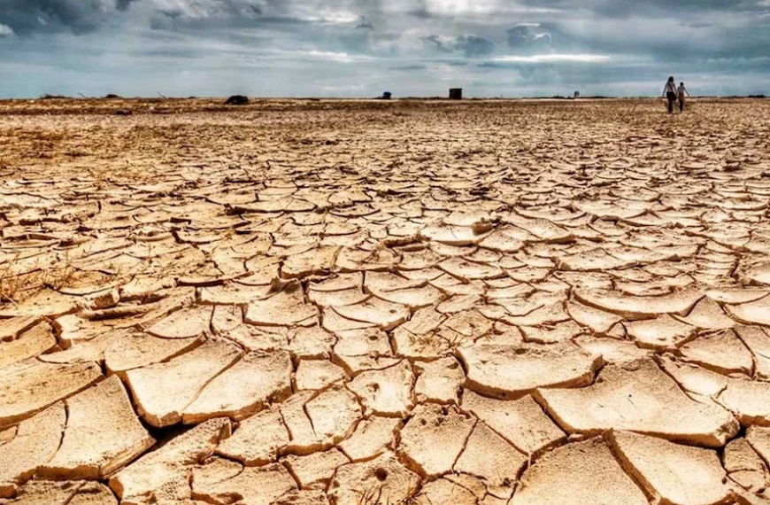 México registra nuevo peligro por sequía