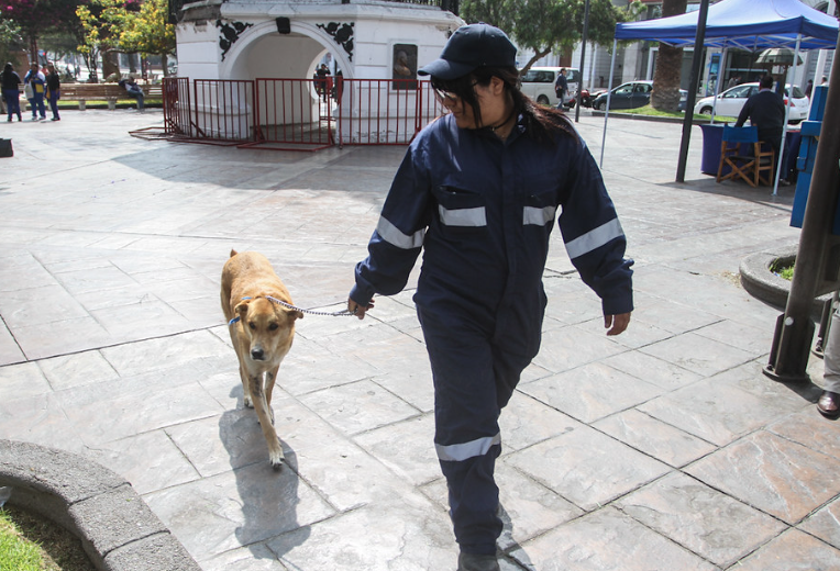 Vigilancia en Nuevo León para evitar maltrato animal