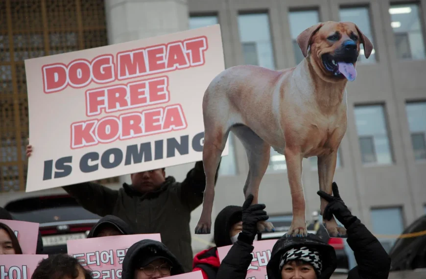 Corea del Sur prohíbe consumo de carne de perro